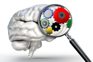 drawing of a brain with magnifying glass showing colorful gears