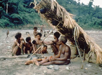 foragerers hanging out