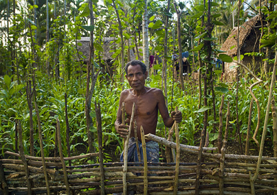 Man in garden in Papua New Guinea