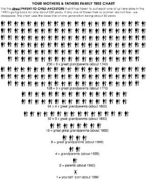 chart showing that a person born in 1980 would be equally related to have up to 256 ancestors in about 1740