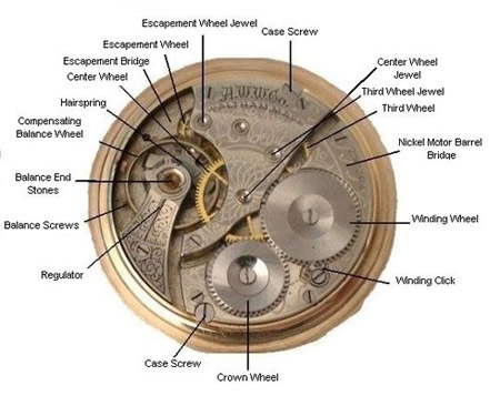 diagram of a watch