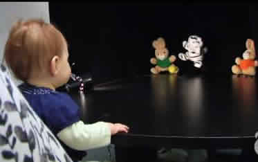 Baby watches puppets at the Yale Cognition lab