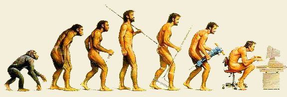 humerous evolution picture