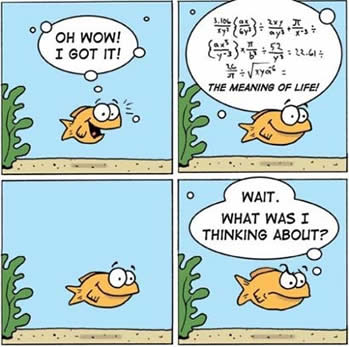 Cartoon, fish momentarily finding meaning of life